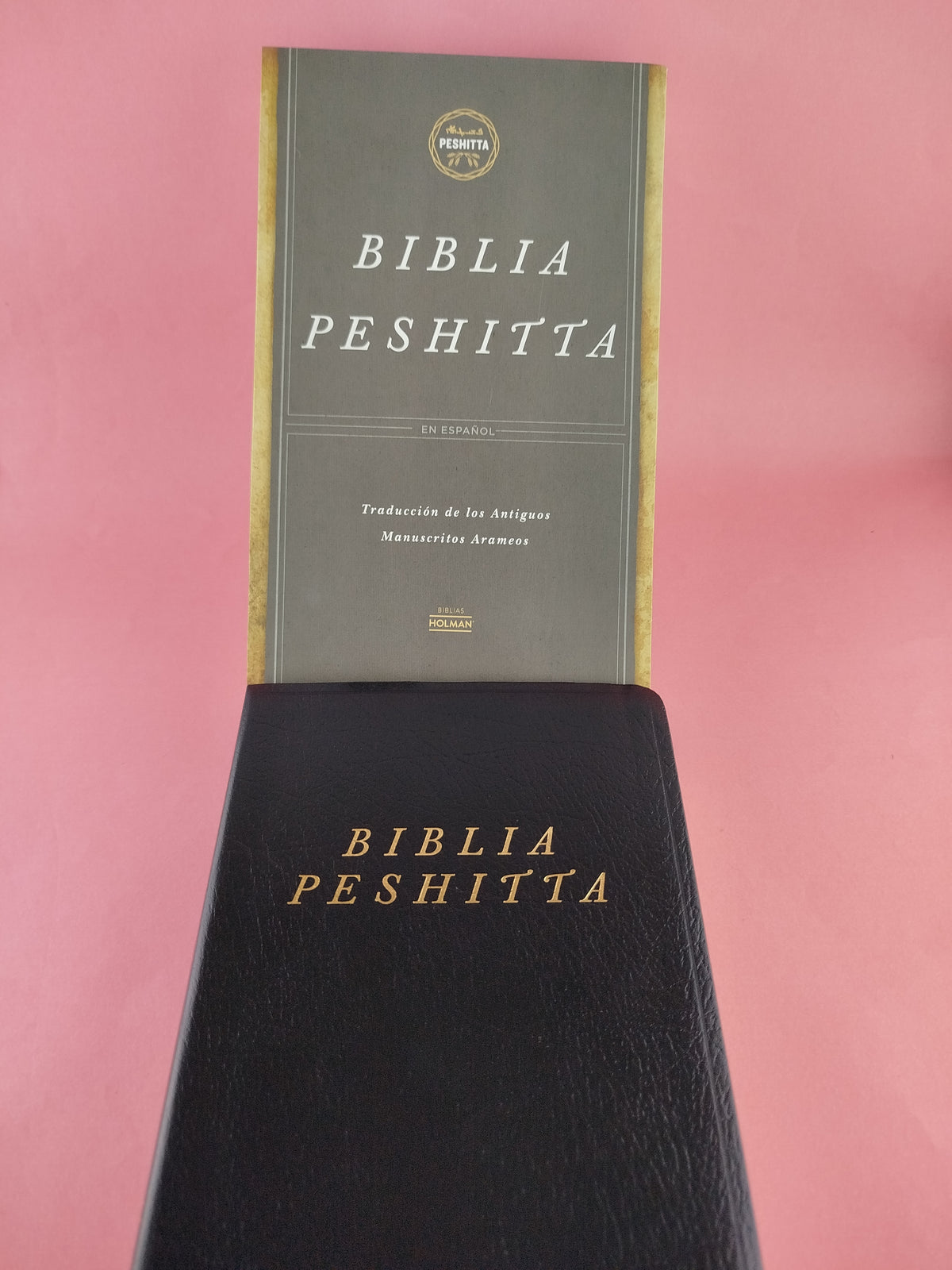 Biblia peshitta imitación piel negra by Reina Valera 1960