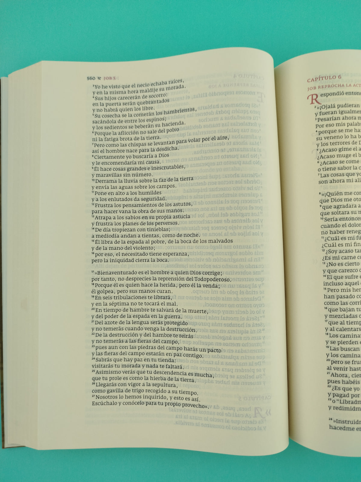 Biblia Del Siglo De Oro by libreriatroya.com