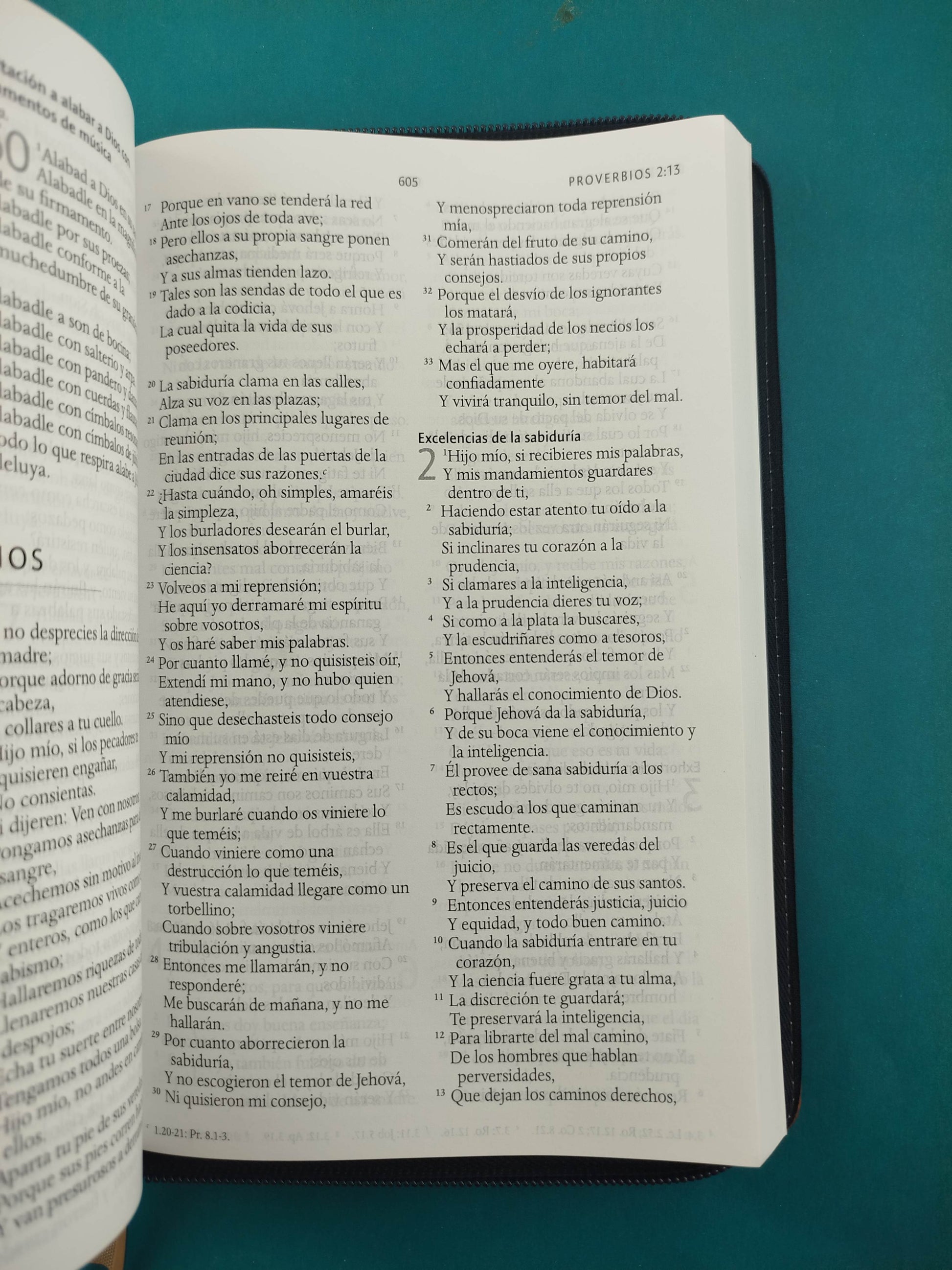 Biblia RVR 1960 Letra Grande Estuche Azul – Miel by Reina Valera 1960