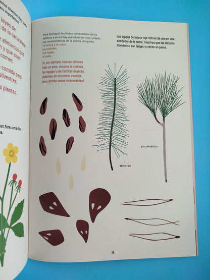 Naturalistas en la cocina: Una guía para pequeños científico