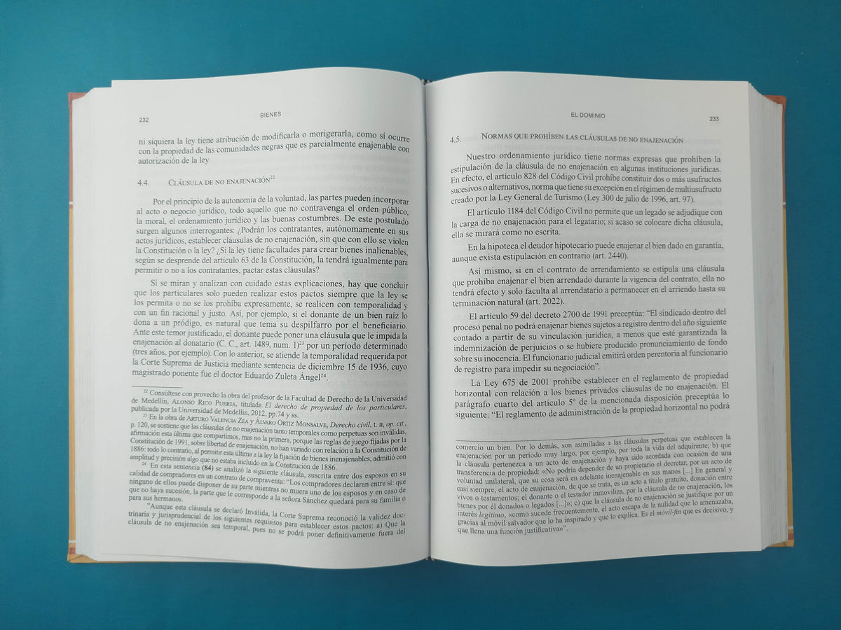 Bienes 17a edición by Luis Guillermo Velásquez Jaramillo