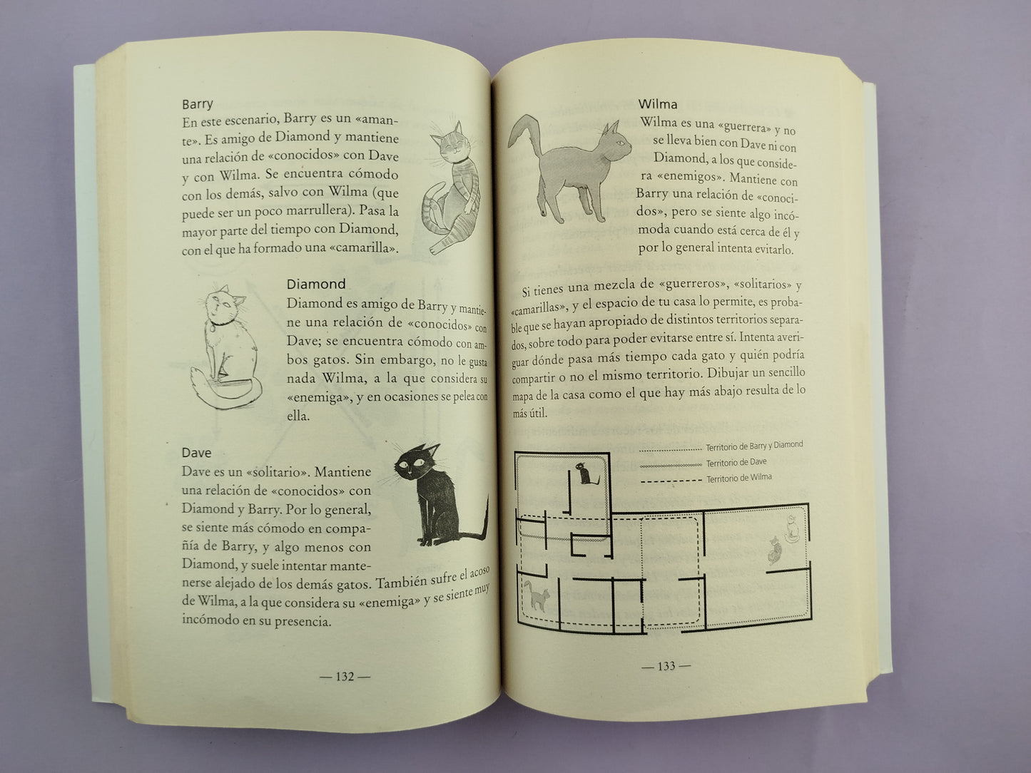 Test de personalidad para gatos