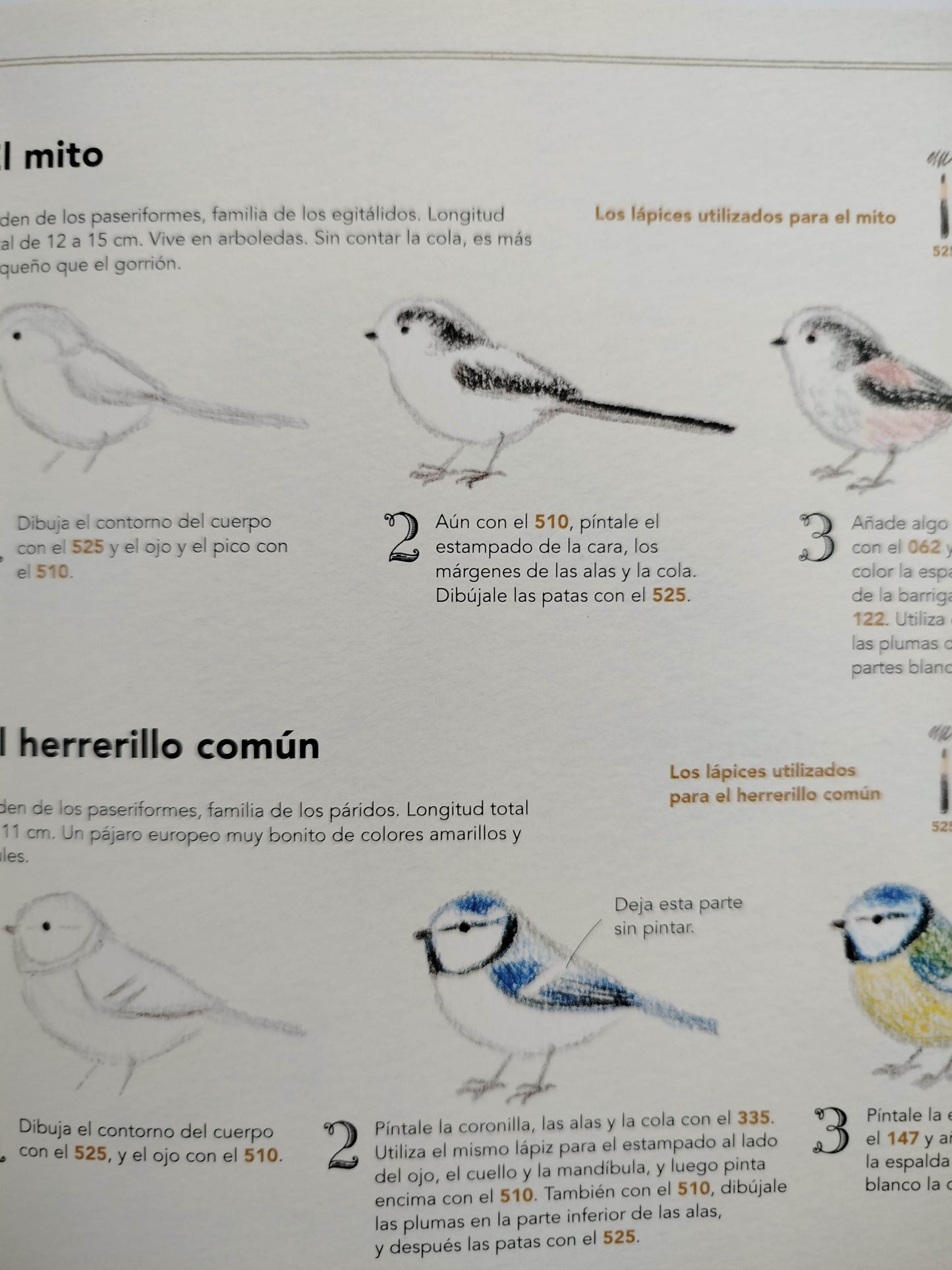 Dibuja todo tipo de aves by Ai Akikusa