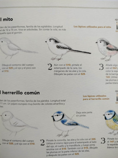 Dibuja todo tipo de aves by Ai Akikusa