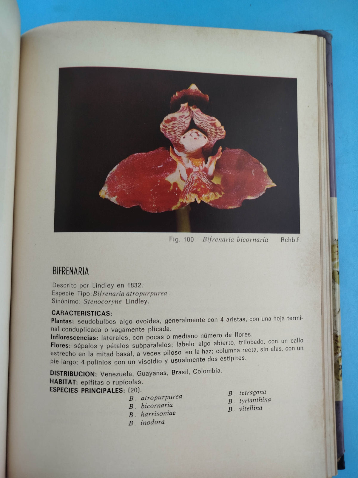 Orquídeas de las américa by Mariano Ospina H.