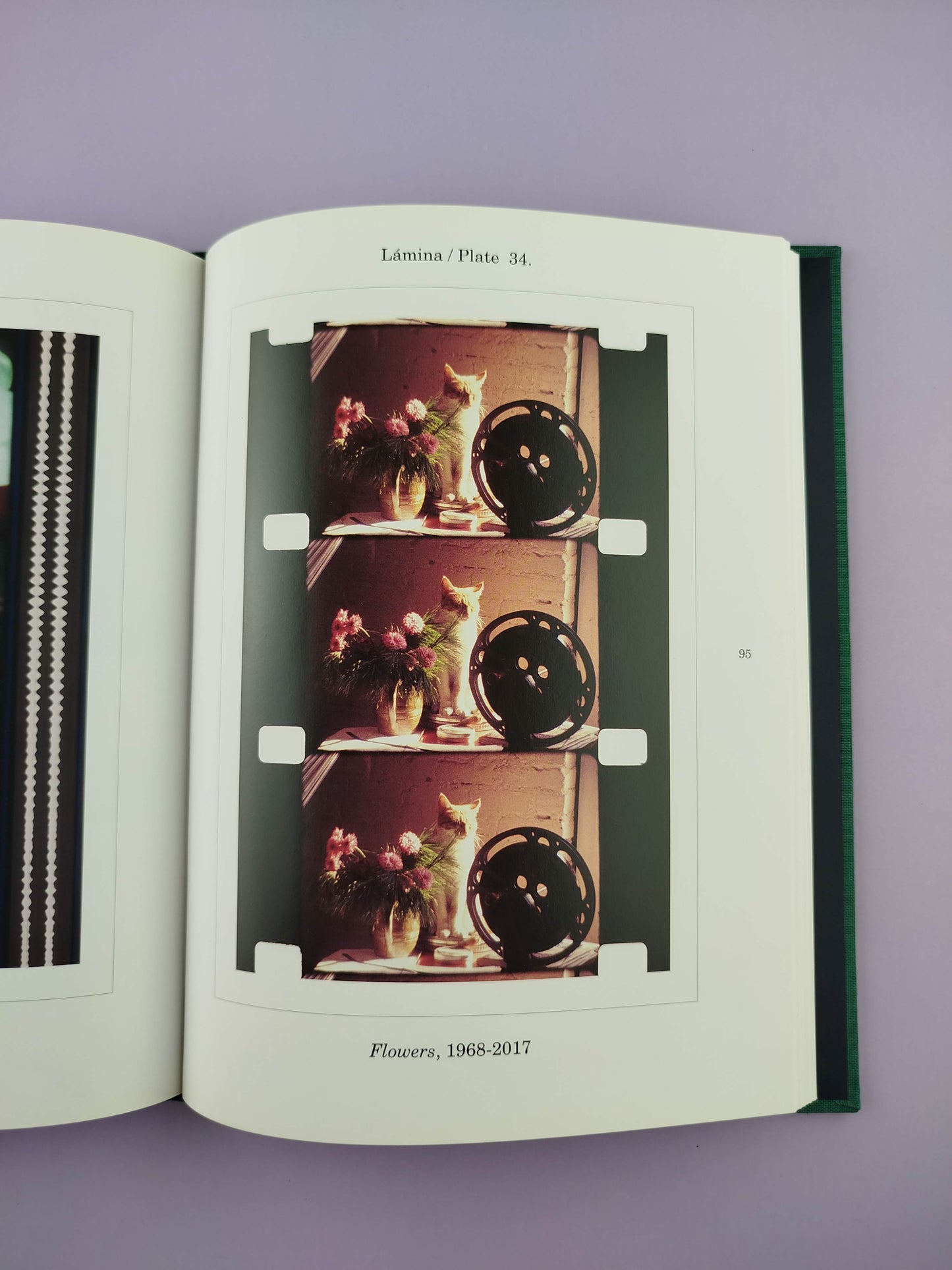 Botánicas/ Botanicals