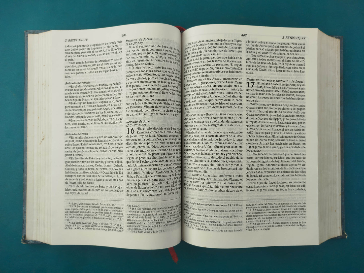 Santa Biblia rvr 1995 ed de estudio