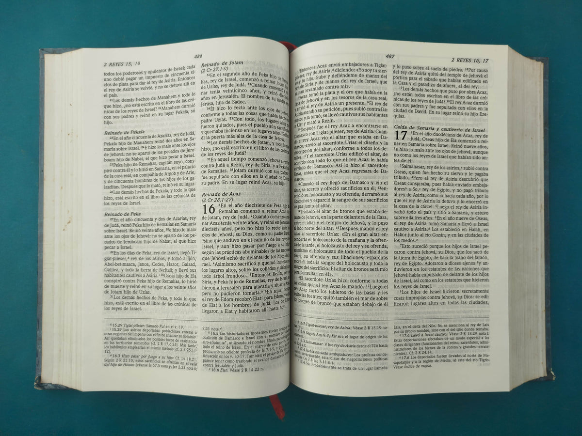 Santa Biblia rvr 1995 ed de estudio by Reina Valera 1960
