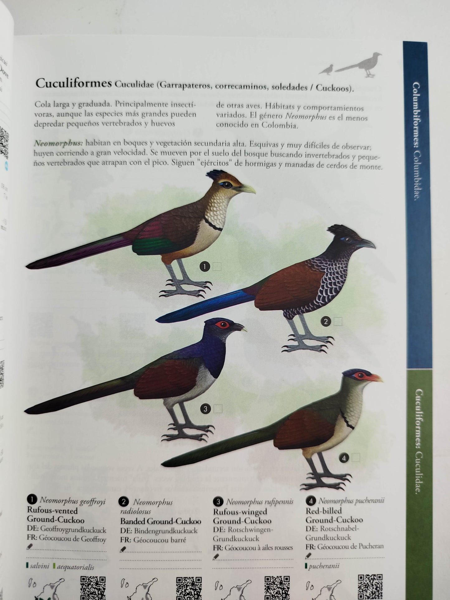 Avifauna colombiana by Fernando Ayerbe