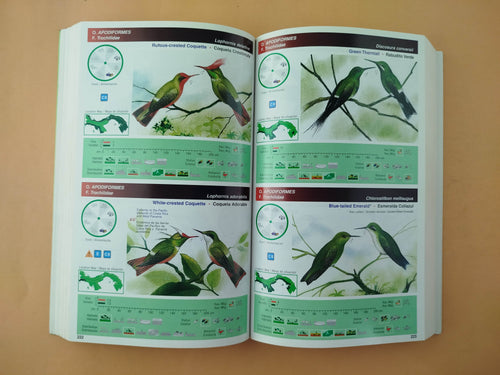 An illustrated field guide to the birds of Panama Guía de campo ilustrada de las aves de Panamá by Ernesto and Giselle Muschett Ponce