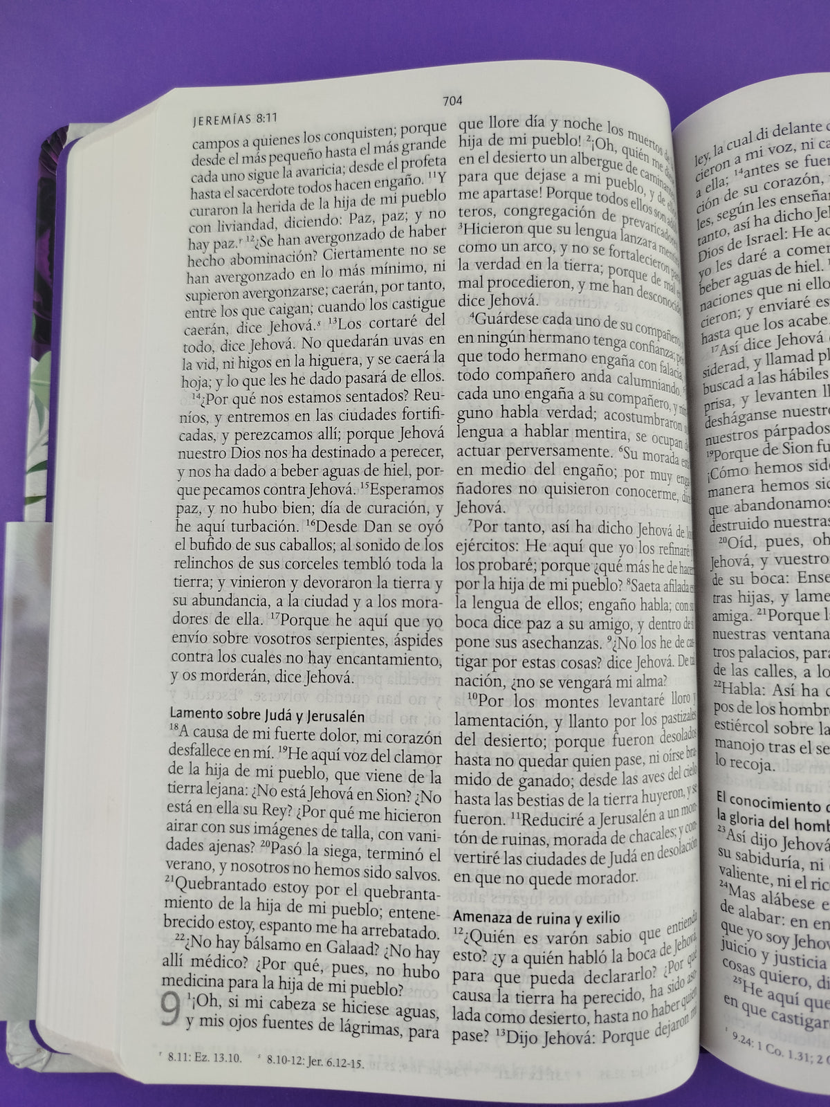 Biblia rvr 1960 letra grande tamaño manual tapa dura tela morada con flores con imágenes de la tierra santa by Reina Valera 1960