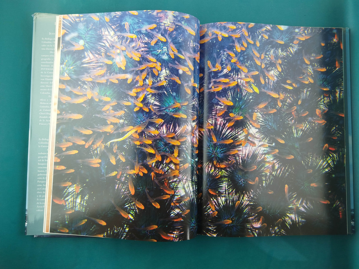 Paraíso De Animales Viajeros