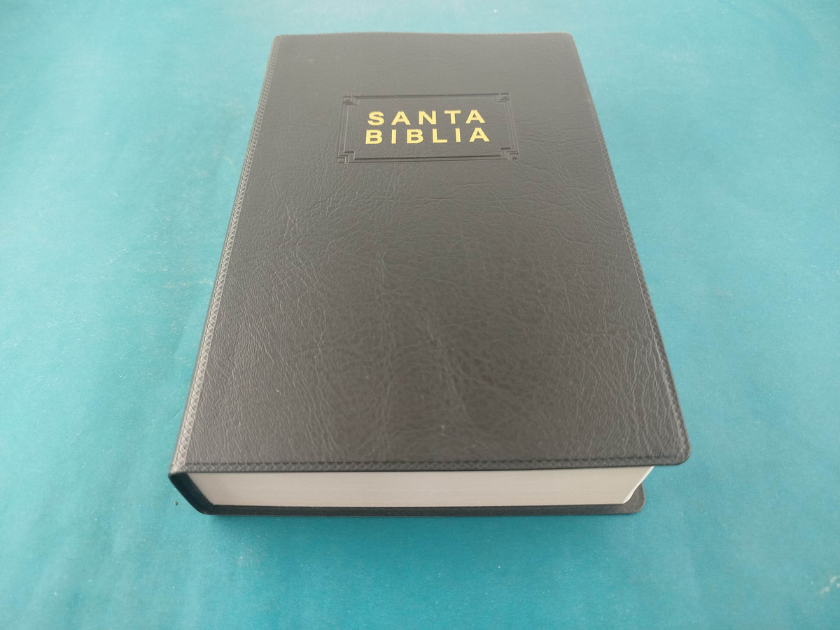Biblia NTV Edición premio y regalo negra by Tyndale