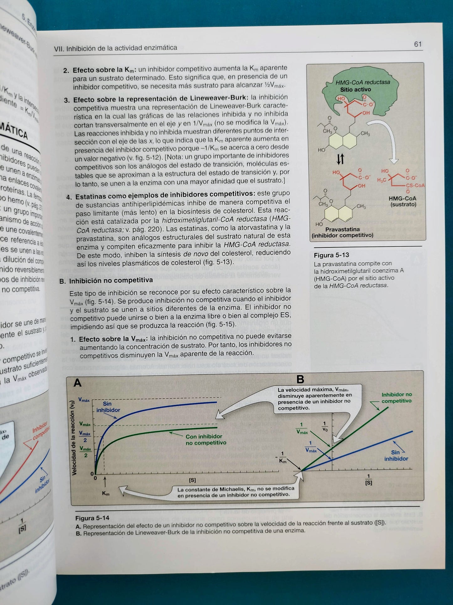 Lippincot´s illustrated reviews bioquímica sexta edición