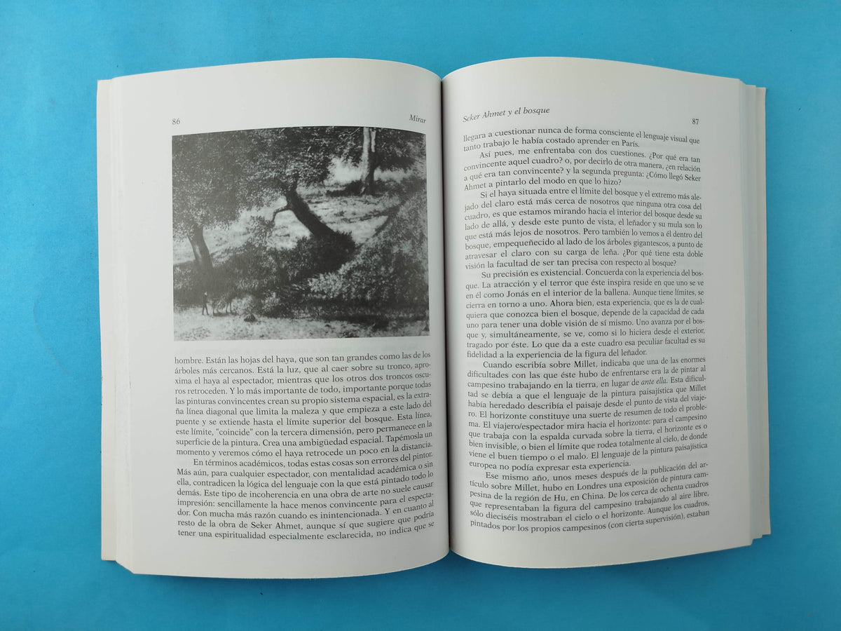 Mirar by John Berger