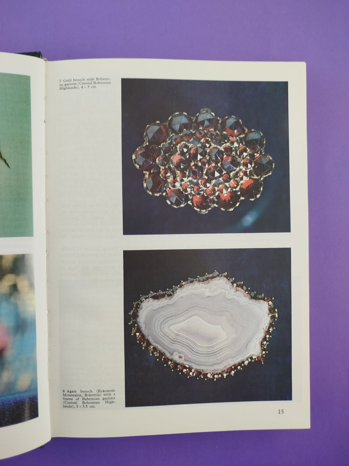 The Illustrated Encyclopedia Of Minerals And Rocks by Randolph Lucas