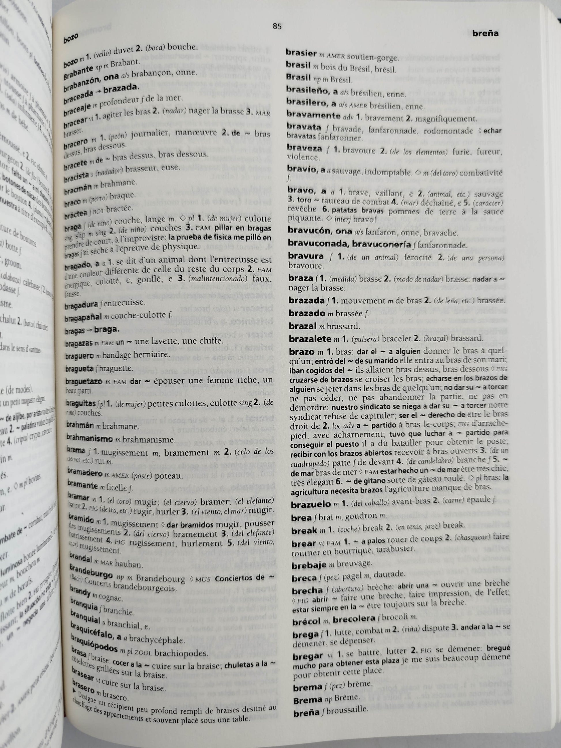 Diccionario Avanzado Francés Francais-Espagnol-Español-Francés by Jean-Paul Vidal