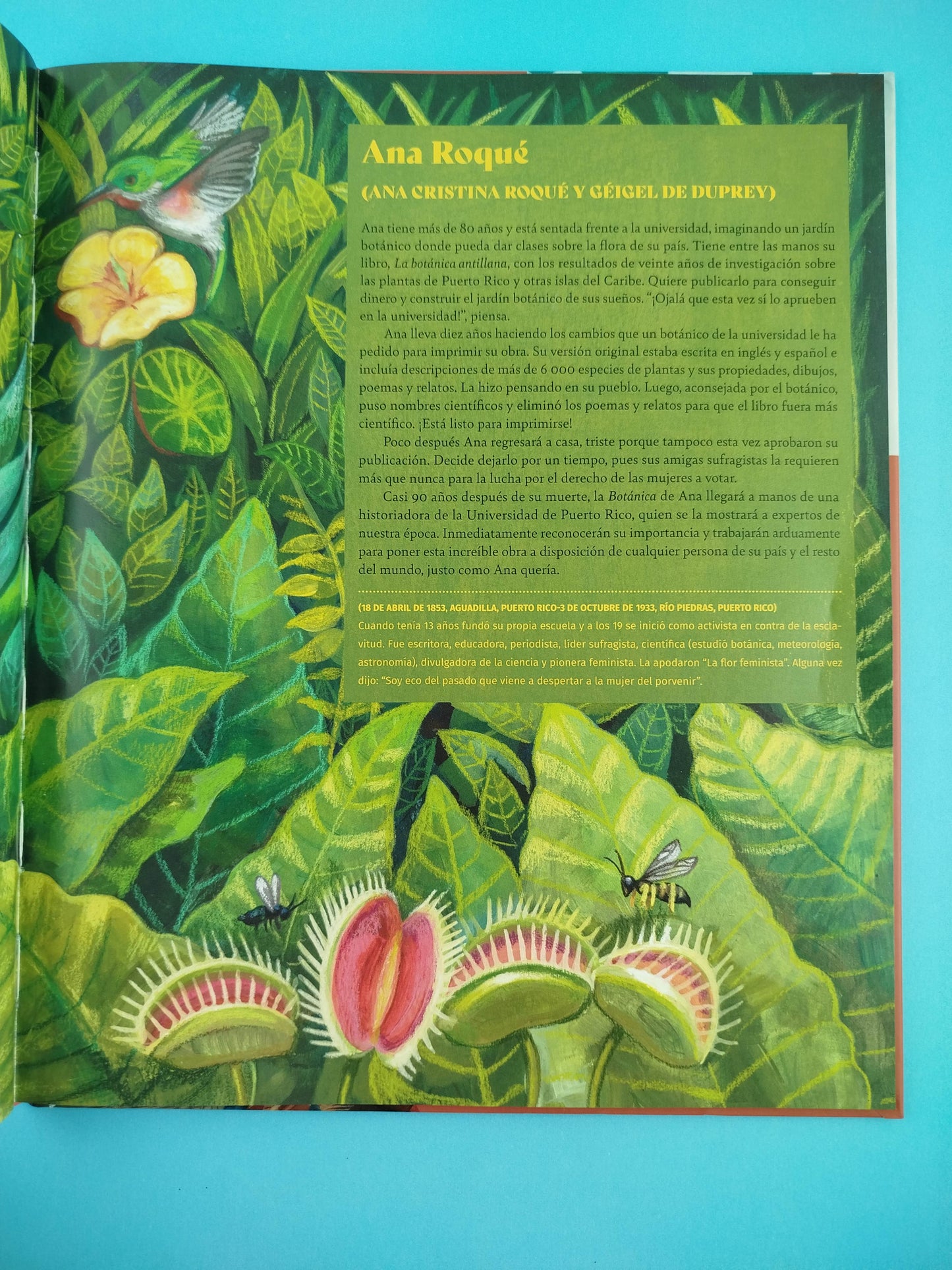 Mis pies tienen raíz. Mujeres del mundo de habla hispana.