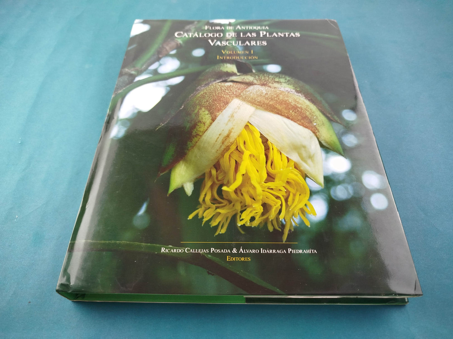 Flora de Antioquia : catálogo de las plantas vasculares