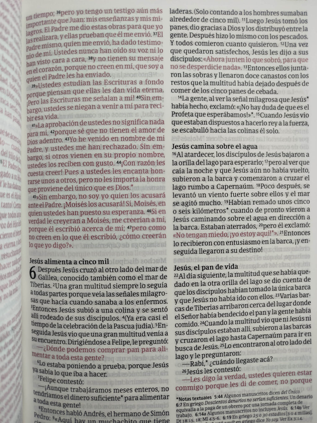 Biblia NTV rosada letra grande ultrafina filament by Tyndale