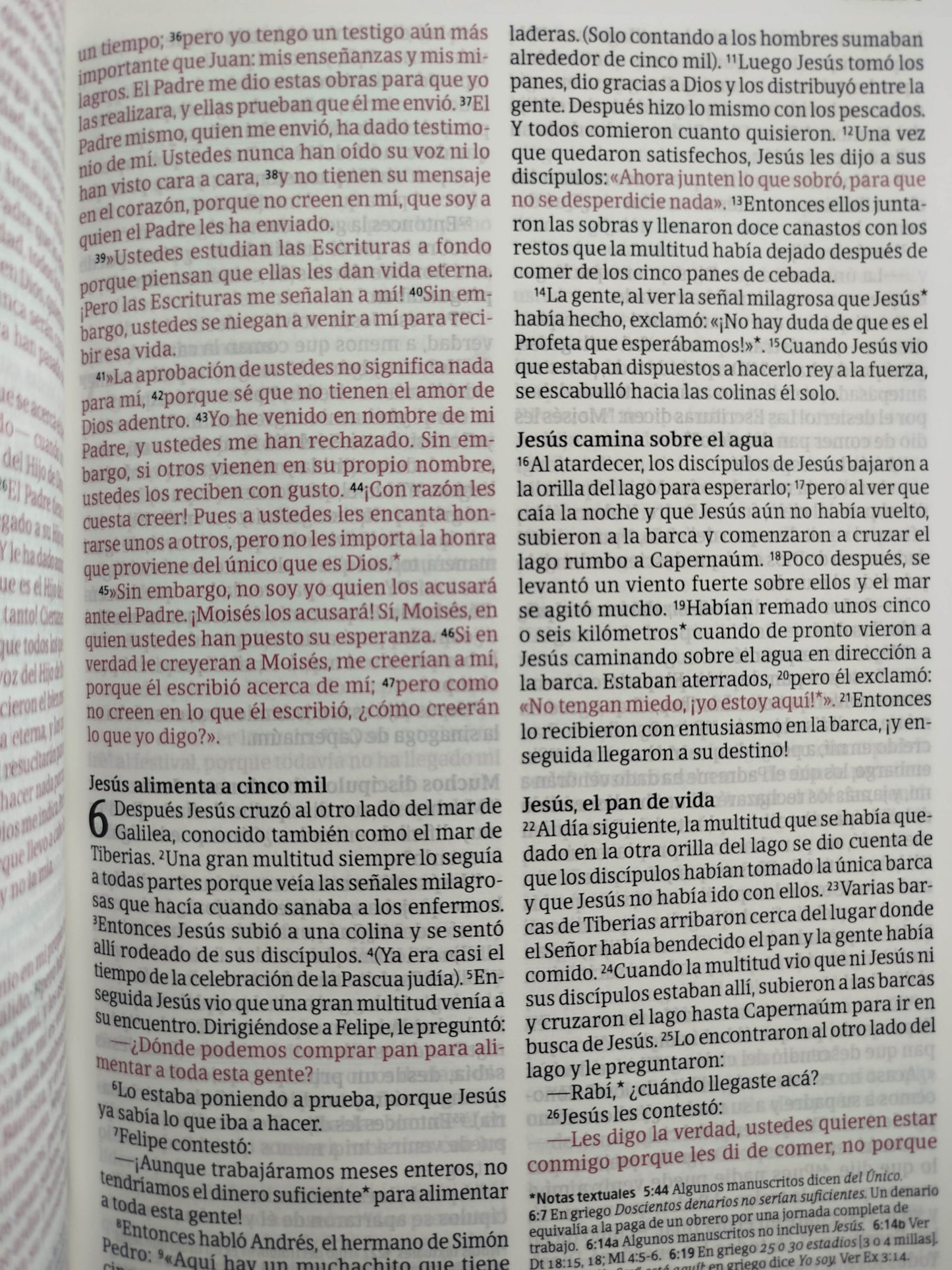 Biblia NTV rosada letra grande ultrafina filament by Tyndale