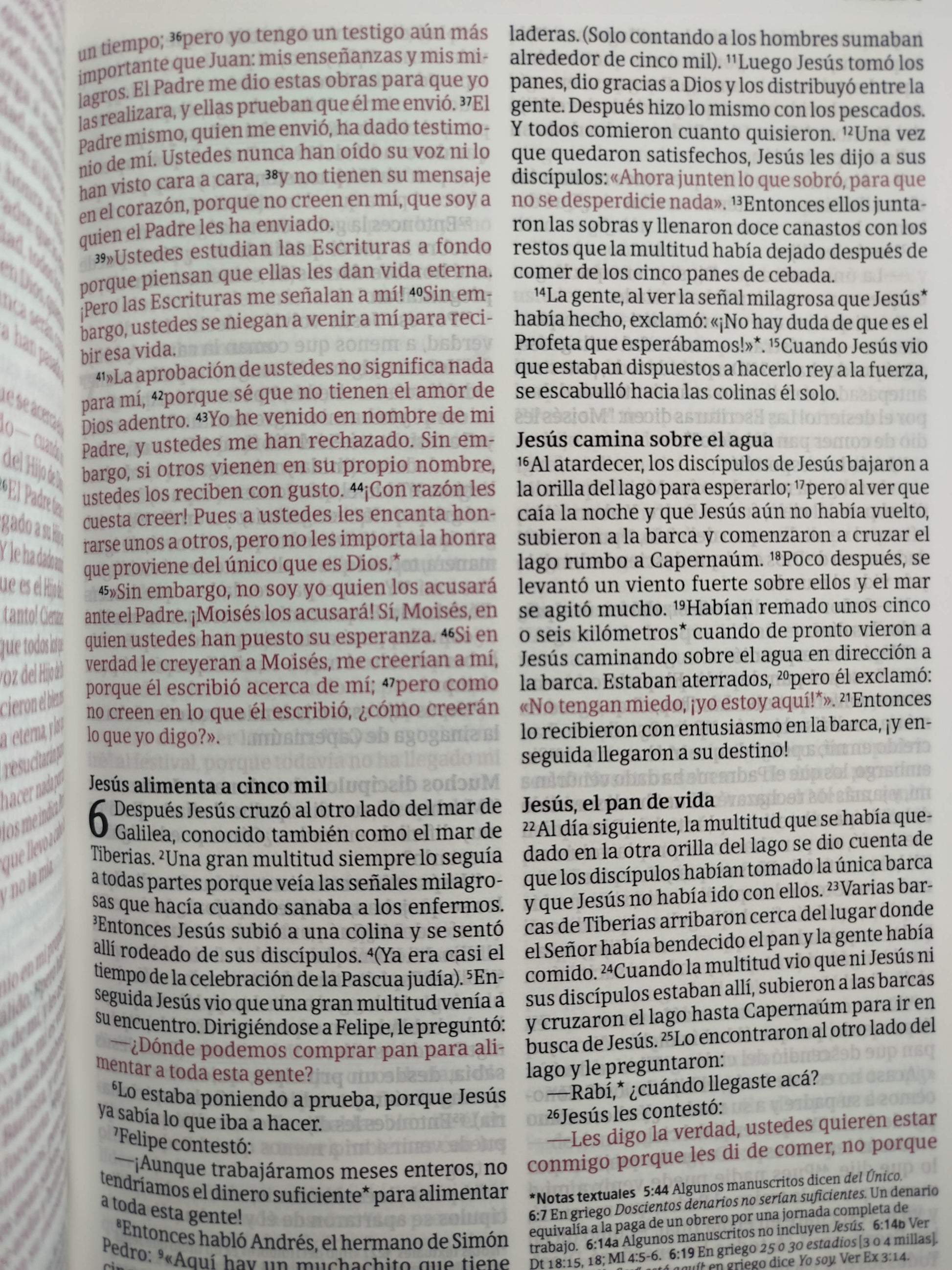 Biblia NTV rosada letra grande ultrafina filament by Tyndale