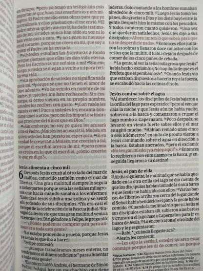 Biblia NTV rosada letra grande ultrafina filament by Tyndale