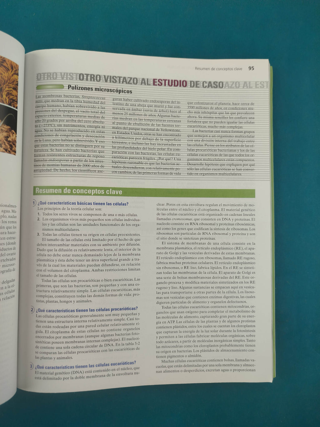 Biología unidad en la diversidad volumen 1 sexta edición by Audesirk Audesirk Byers