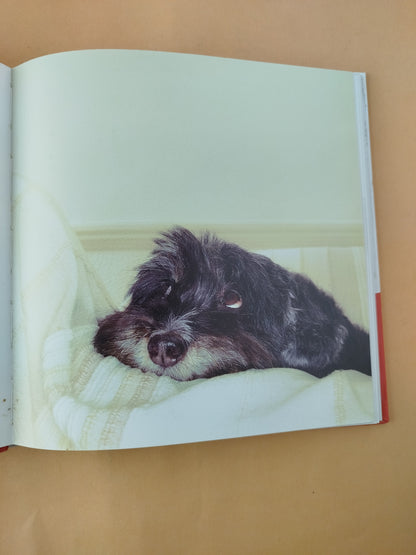 Encantador de perros 4 la salud