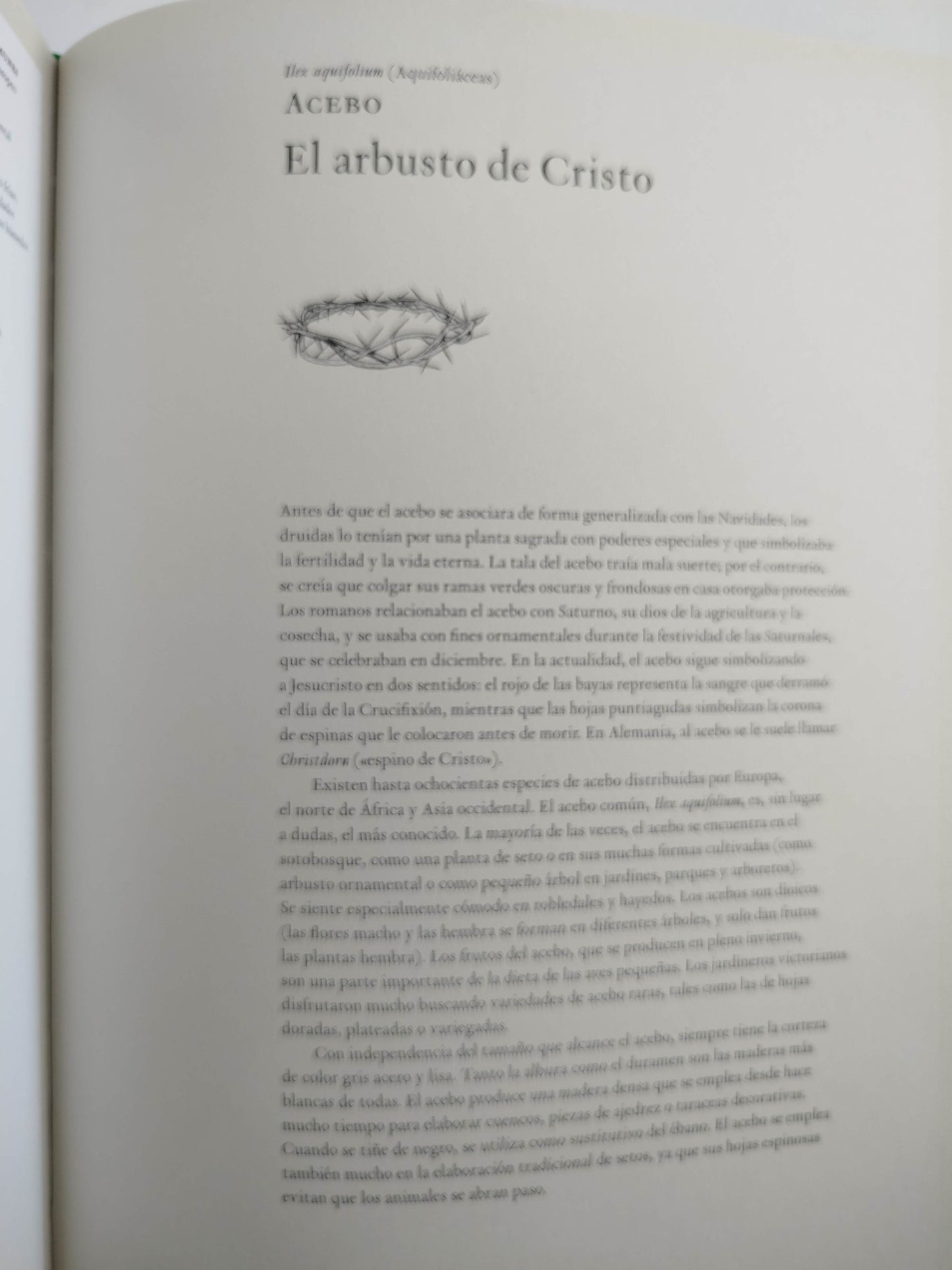 La historia de los árboles by Kevin Hobbs Y David Wets