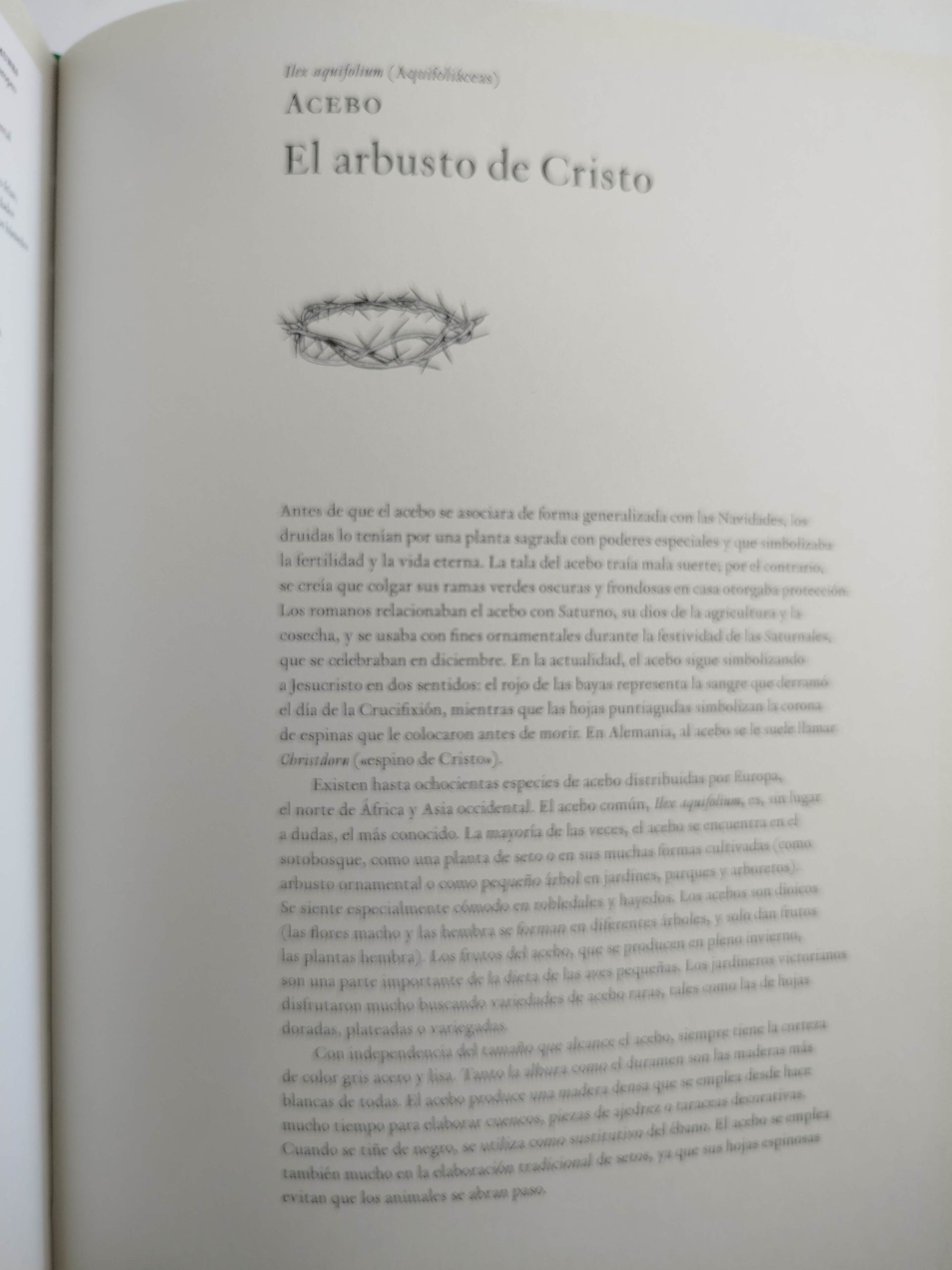 La historia de los árboles by Kevin Hobbs Y David Wets