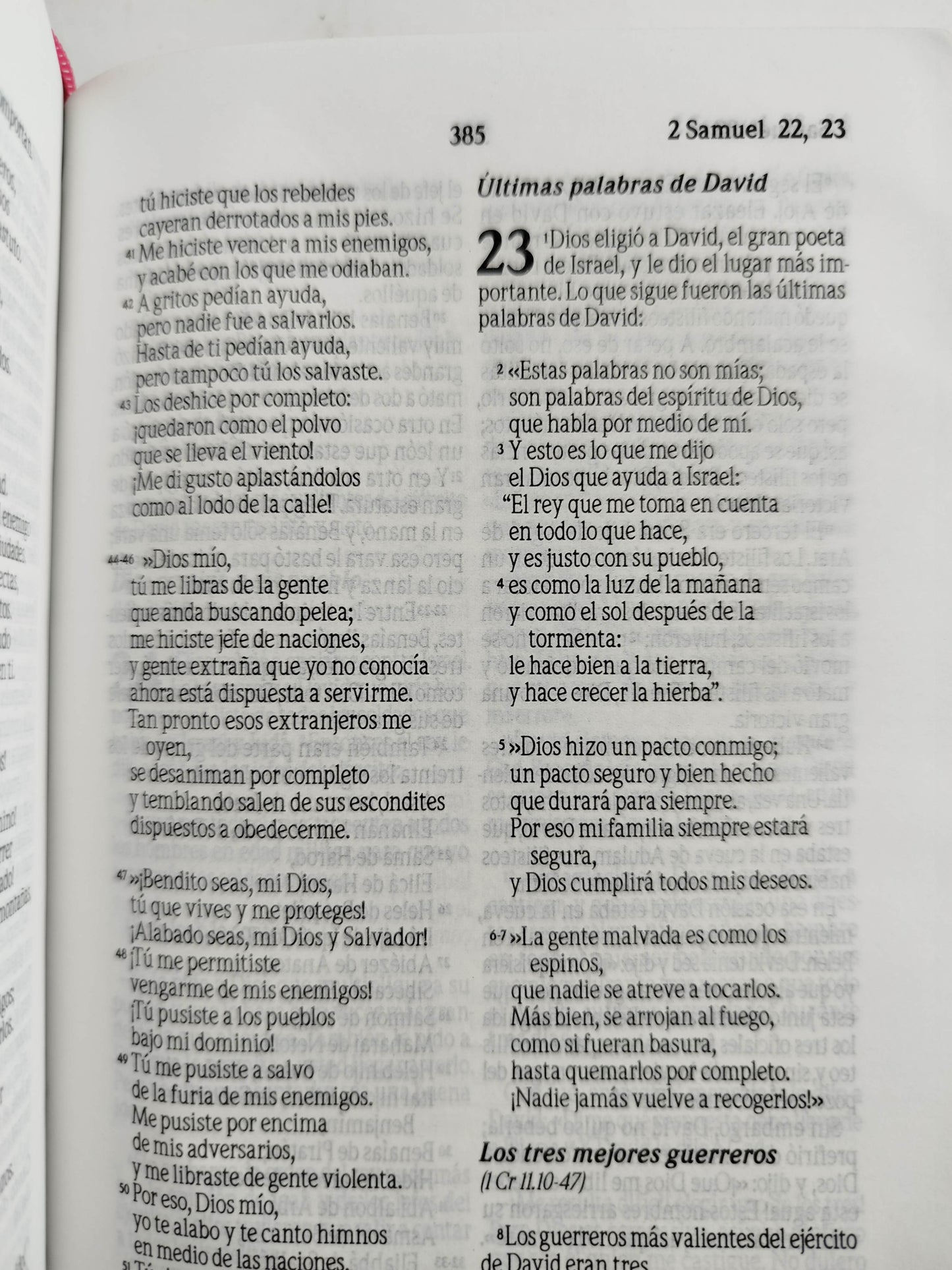 Biblia traducción al lenguaje actual fucsia canto plateado by Varios