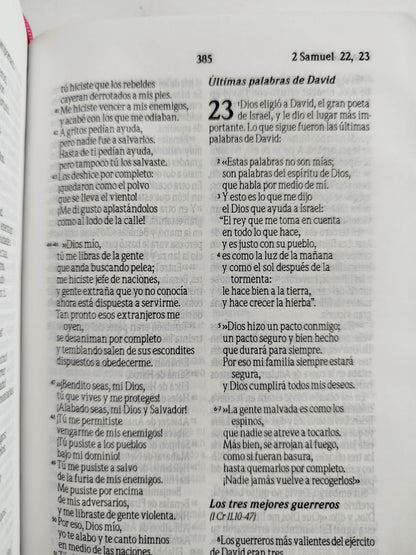 Biblia traducción al lenguaje actual fucsia canto plateado by Varios