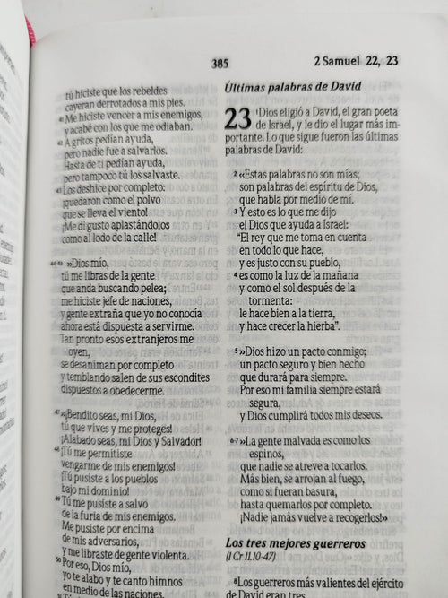 Biblia traducción al lenguaje actual fucsia canto plateado by Varios