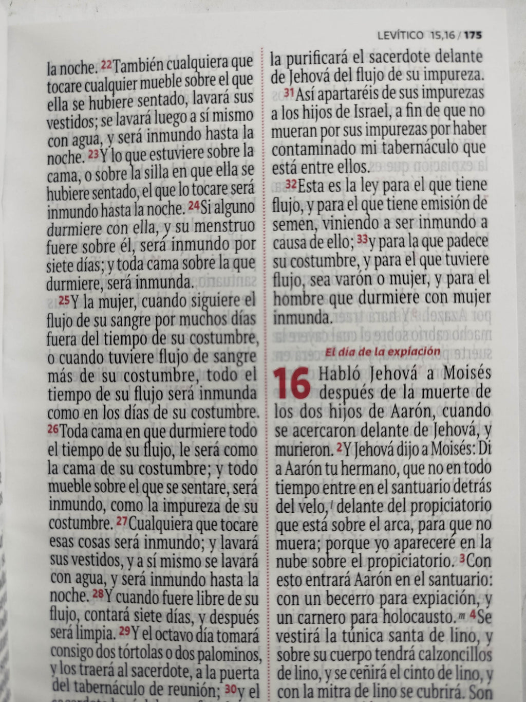 Biblia RVR 1960 letra grande azul- celeste by Reina Valera 1960