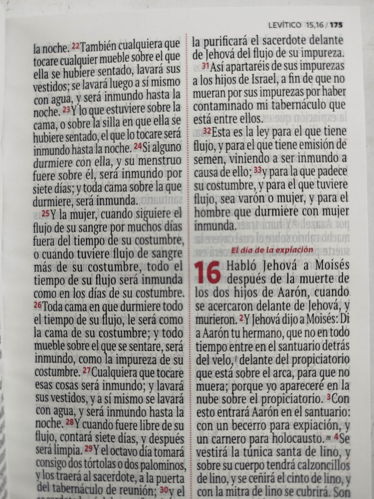 Biblia RVR 1960 letra grande azul- celeste by Reina Valera 1960
