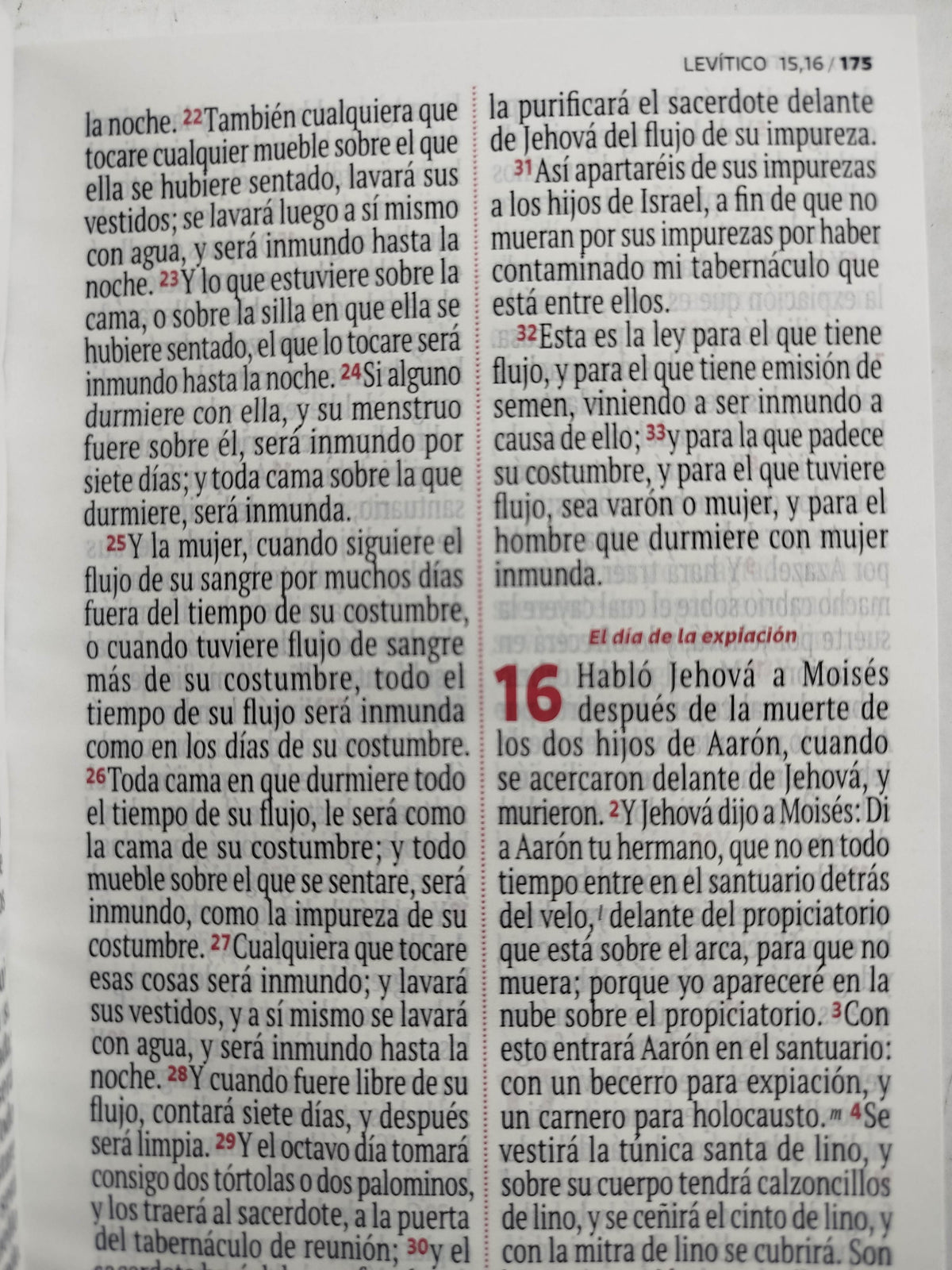 Biblia RVR 1960 letra grande azul- celeste by Reina Valera 1960