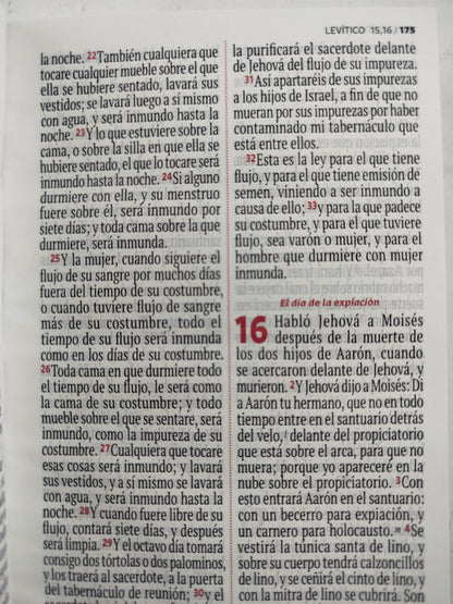 Biblia RVR 1960 letra grande azul- celeste by Reina Valera 1960