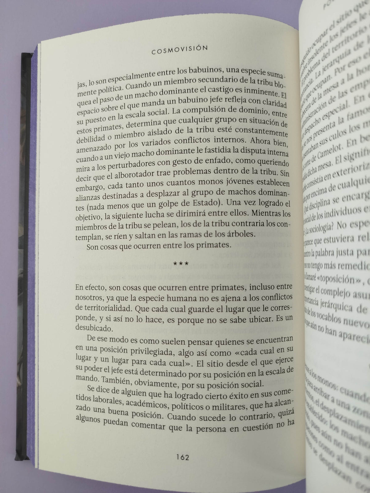 Cosmovisión by Covadlo Lazaro