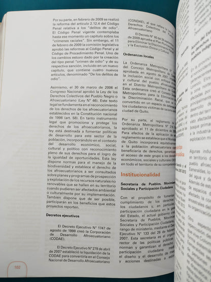 Derechos de la población afrodescendientes de América latina