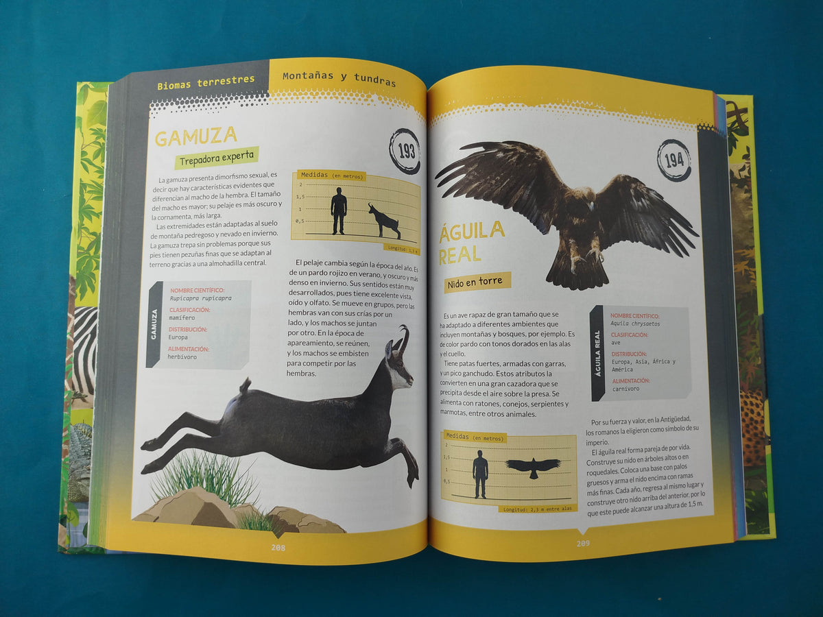 365 animales terrestres y marinos by varios Autores