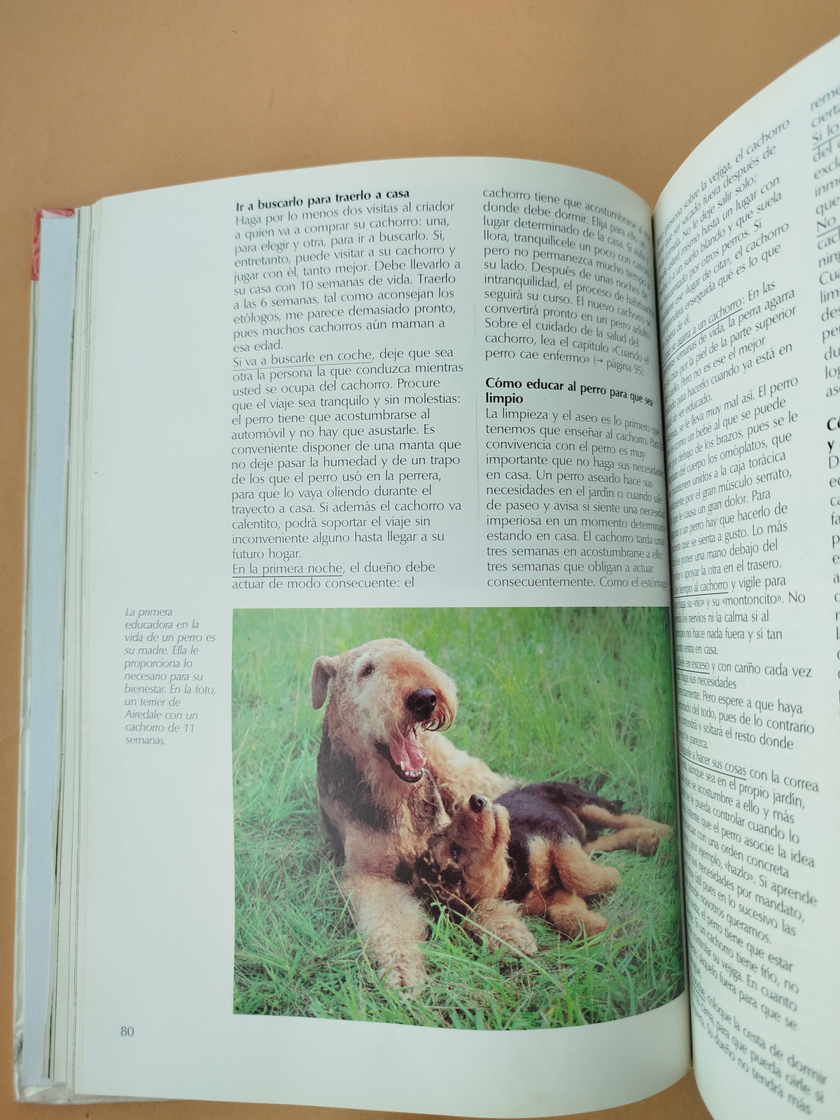 Todo Sobre Tu Perro by Ulrich Klever