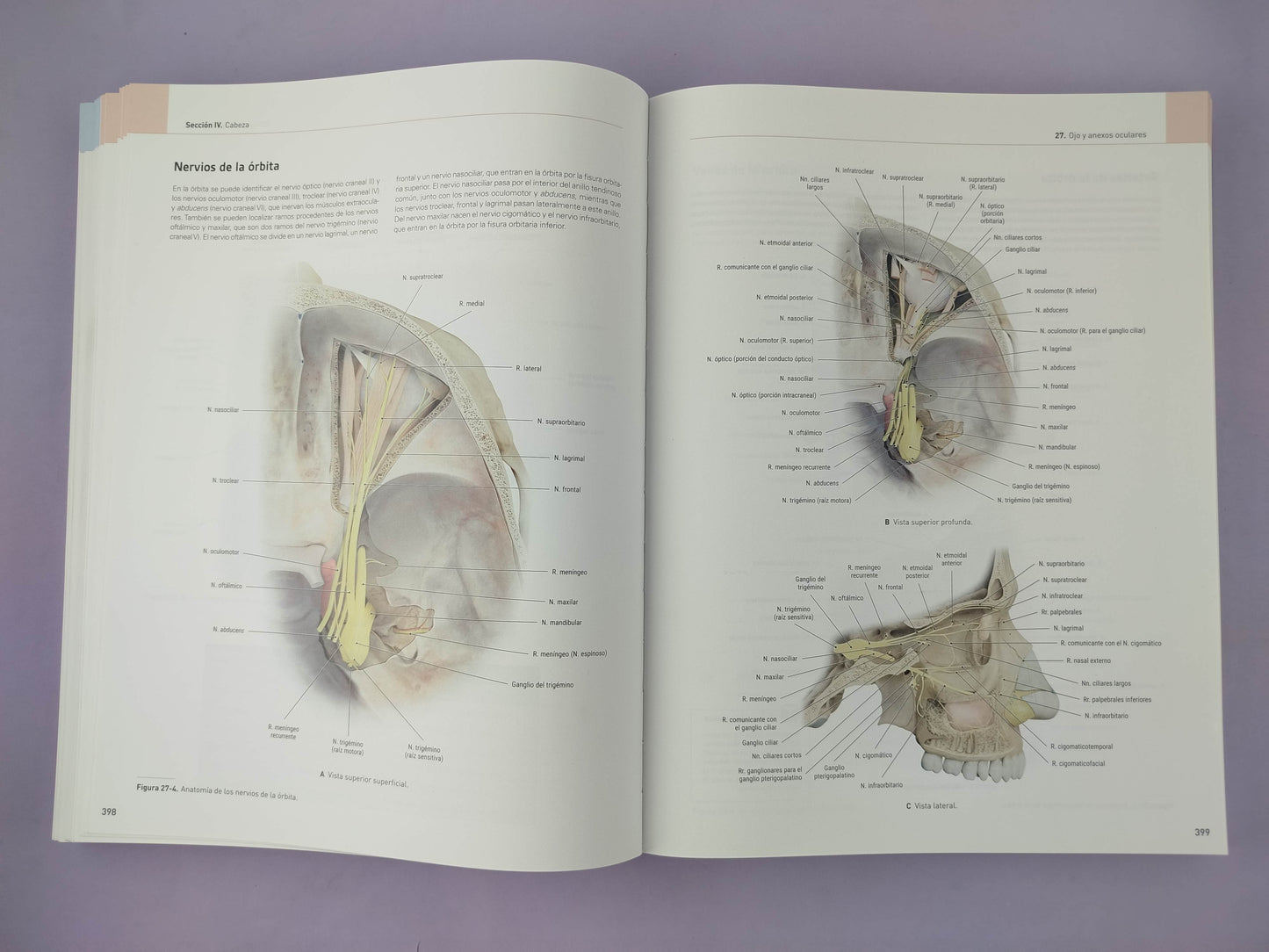 Eva Anatomía atlas