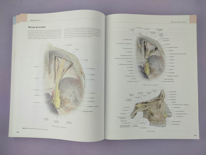 Eva Anatomía atlas