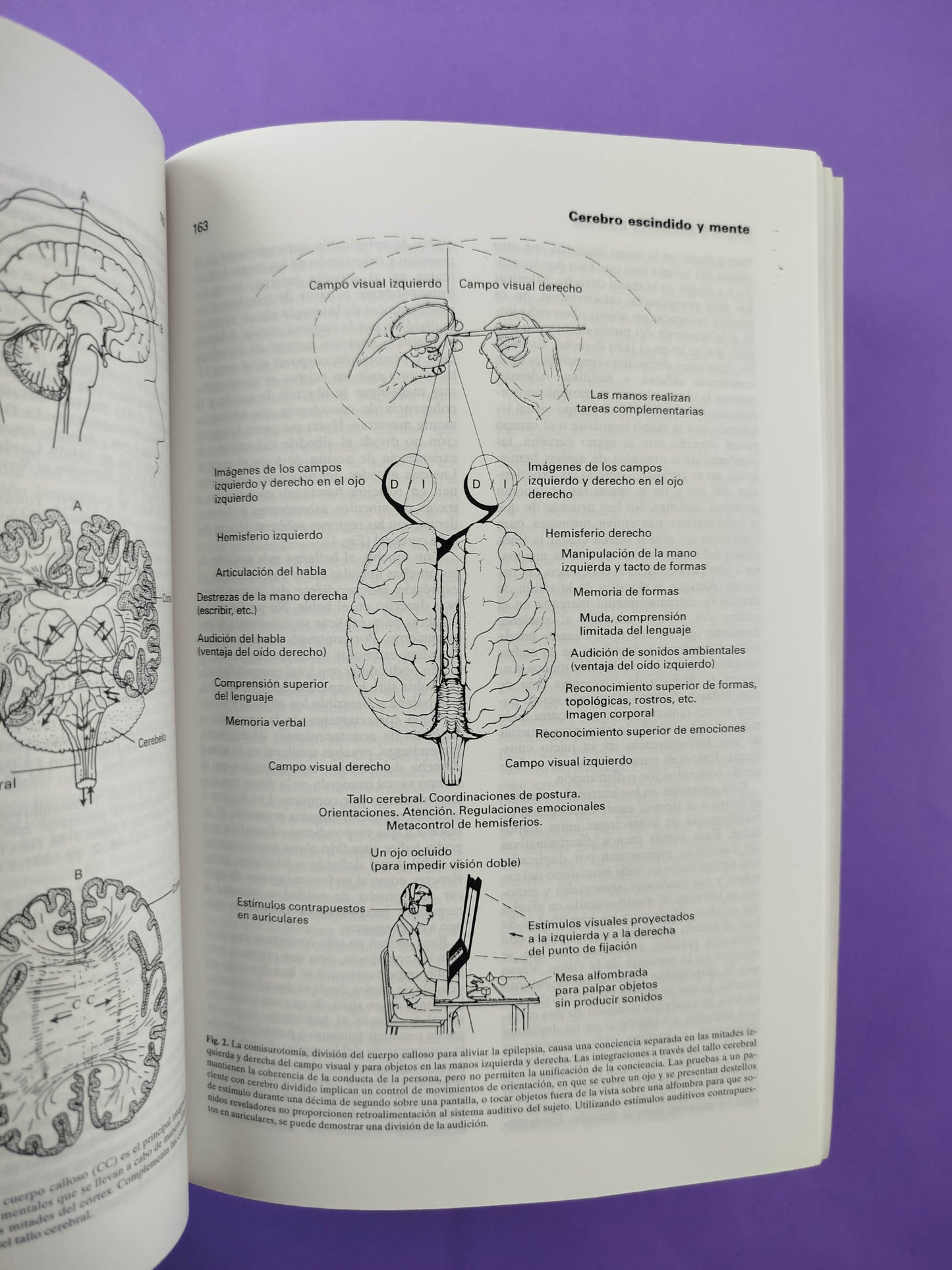 Diccionario Oxford de la mente