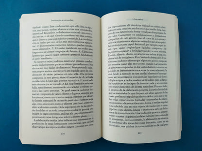 Introducción al Psicoanálisis