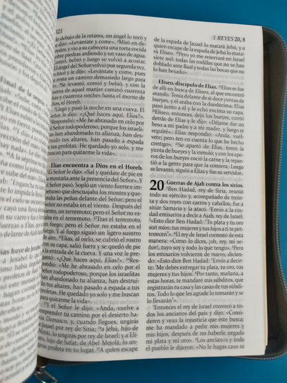 La sagrada biblia de américa estuche gris