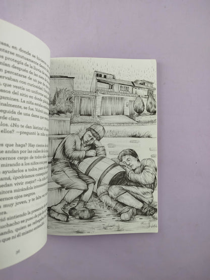 Aventuras de un niño de la calle by Julia Mercedes Castilla
