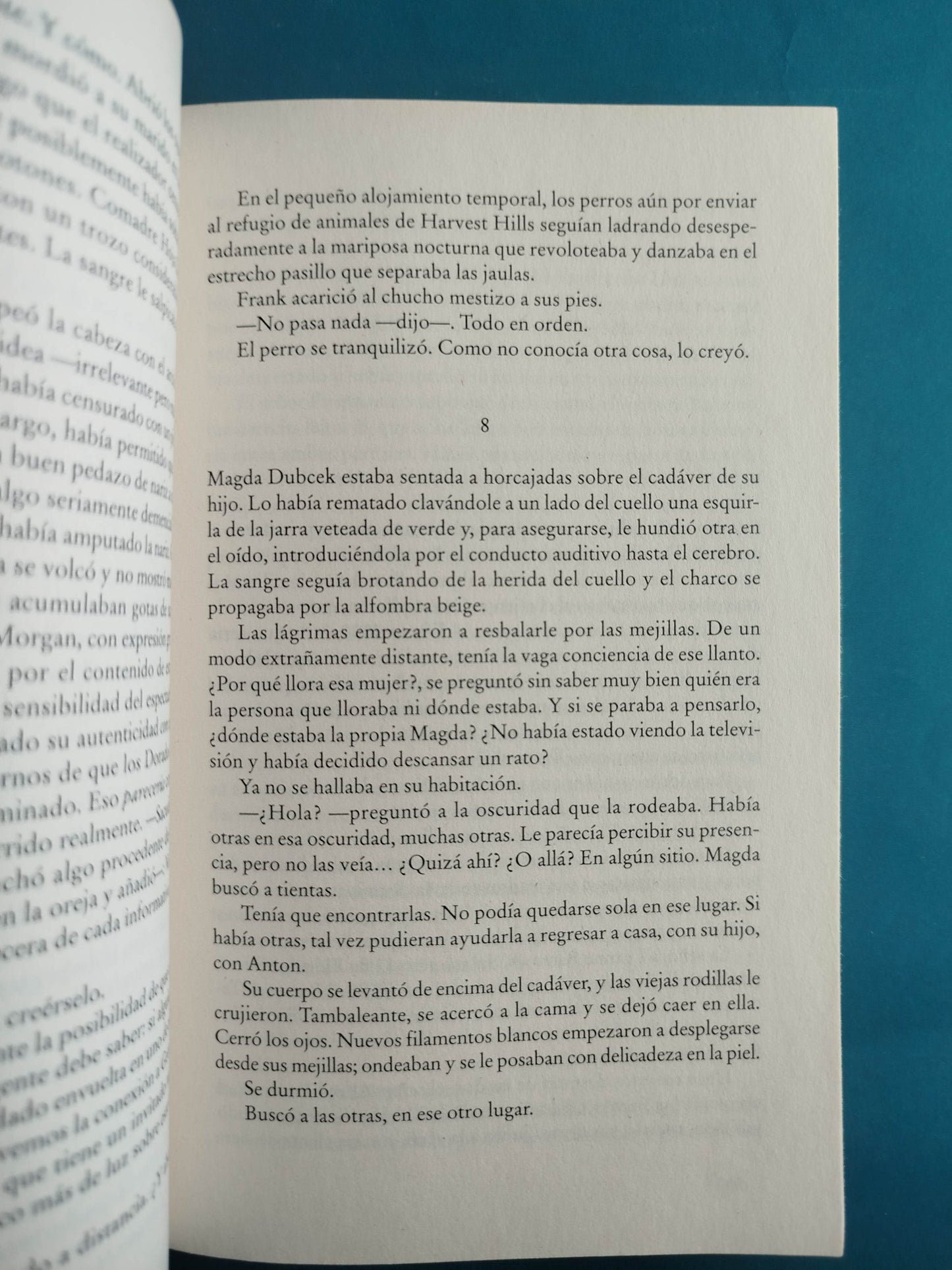 Bellas durmientes by Stephen King