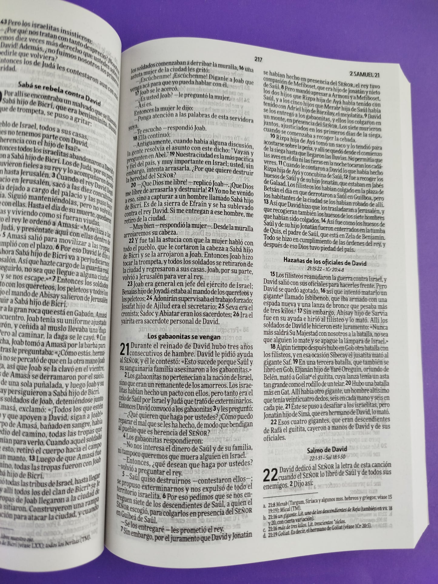 Biblia nvi rustica circulos